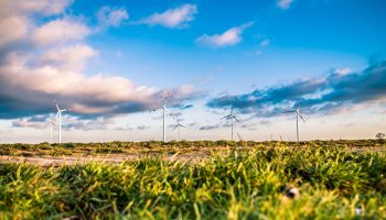 Steeds minder grijze energieleveranciers