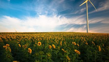 8 feiten en weetjes over windmolens