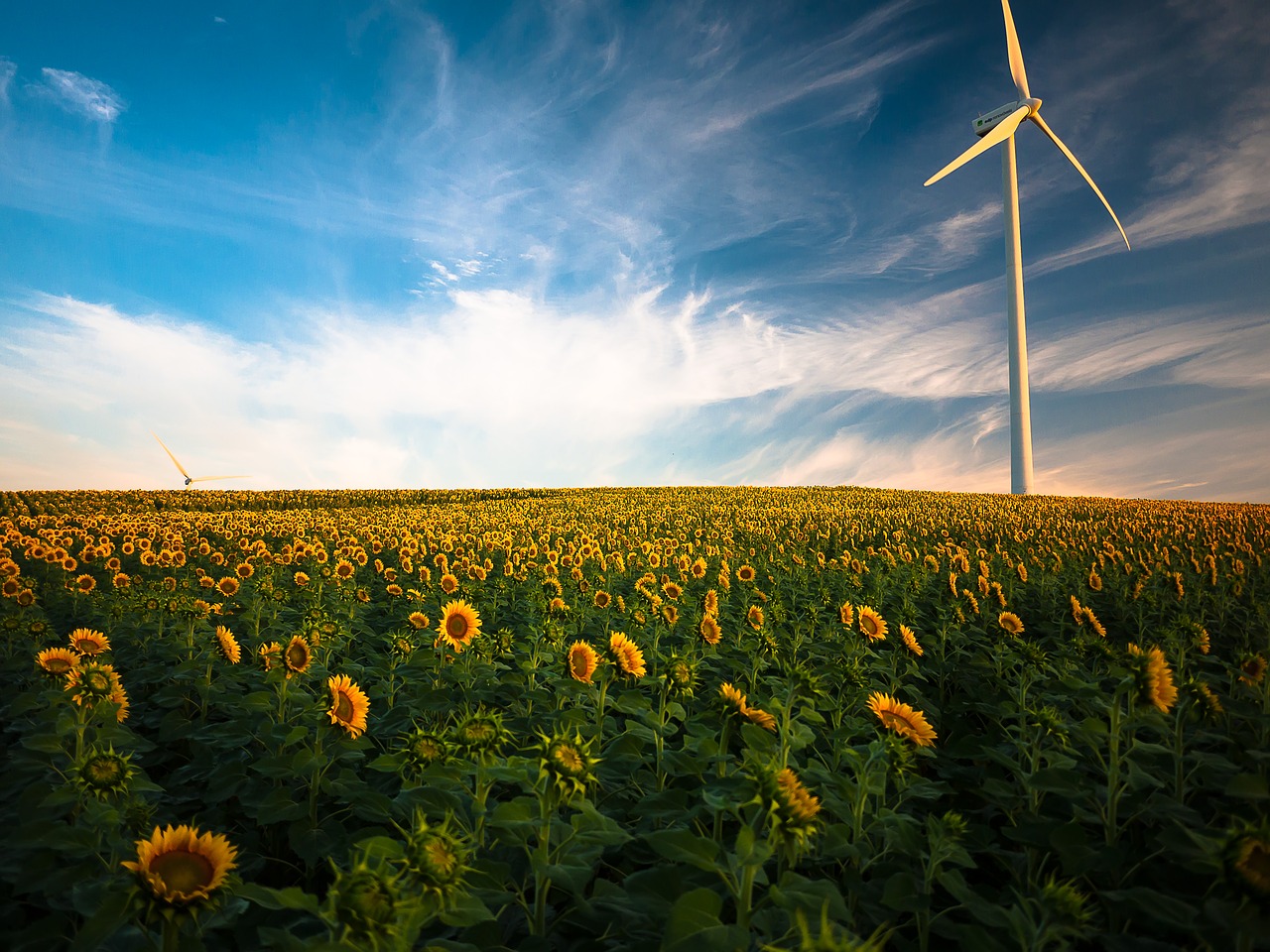 8 feiten en weetjes over windmolens