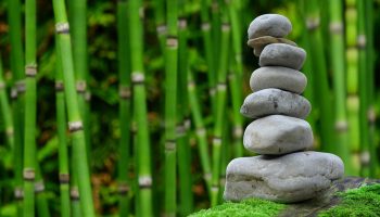 Minder energie verbruiken in de tuin