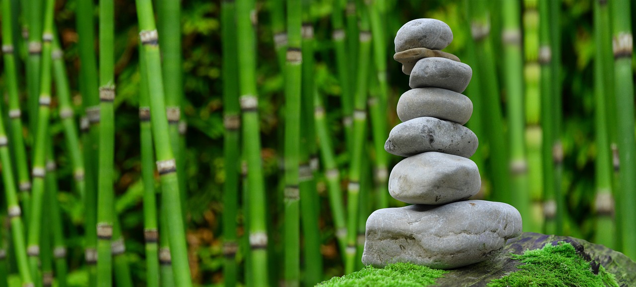 Minder energie verbruiken in de tuin